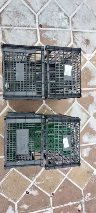 Lădițe plastic noi  2 lei bucata 900 buc