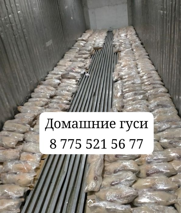 Продам Гусей  2.800тг