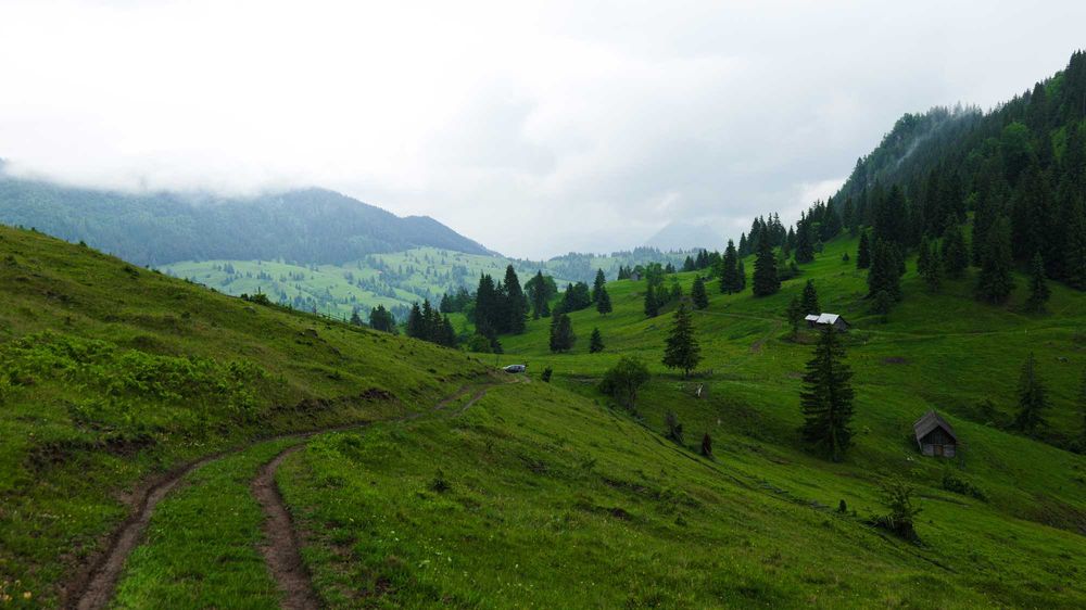 Unicat! 17 Ha Hectare teren intravilan + extravilan in Fundu Moldovei