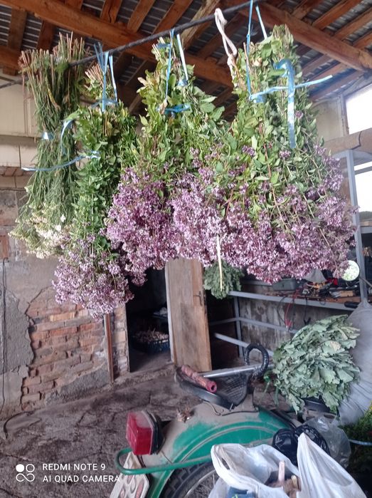 Продам банные веники