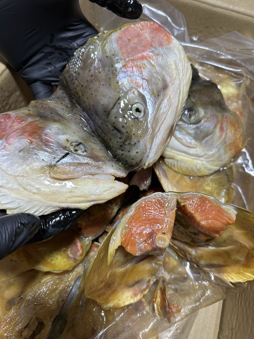 Копченые головые семги