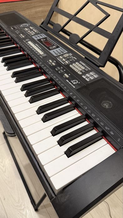 Orga electronica