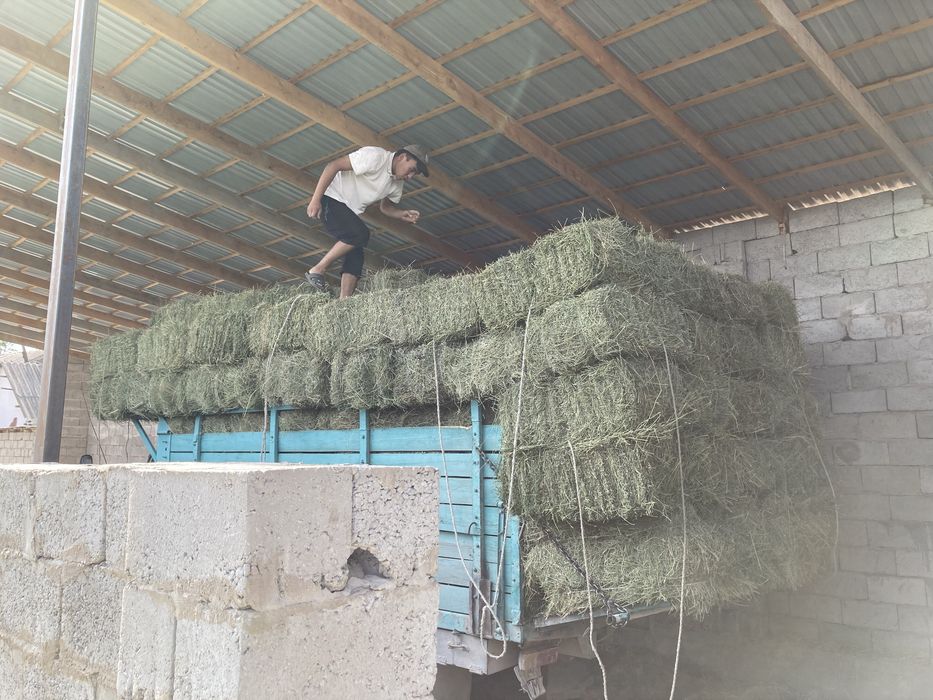 Срочная продажа дома