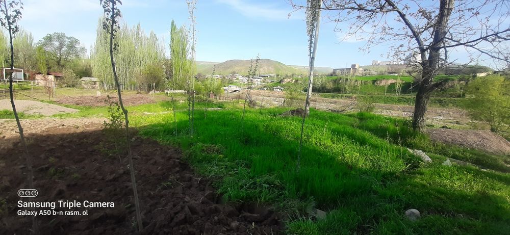 Участка сотилади 10 сотих