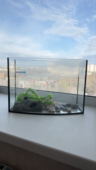 Панарамный аквариум