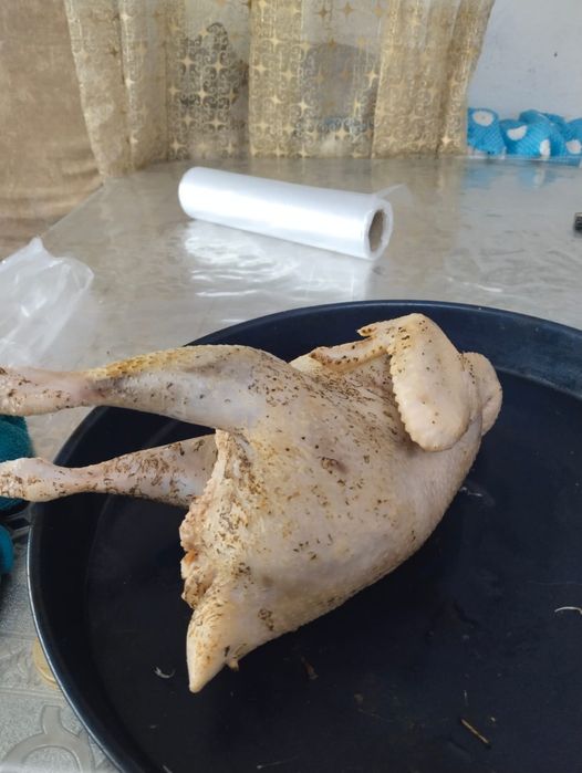 Куры, утки, гуси