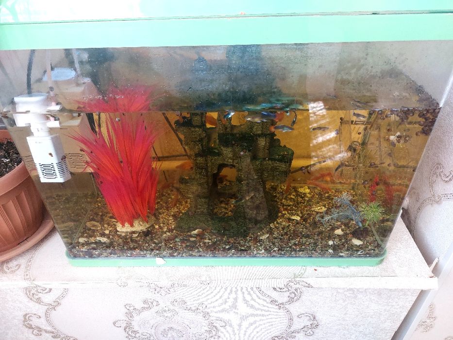 Продам Аквариум с рыбками
