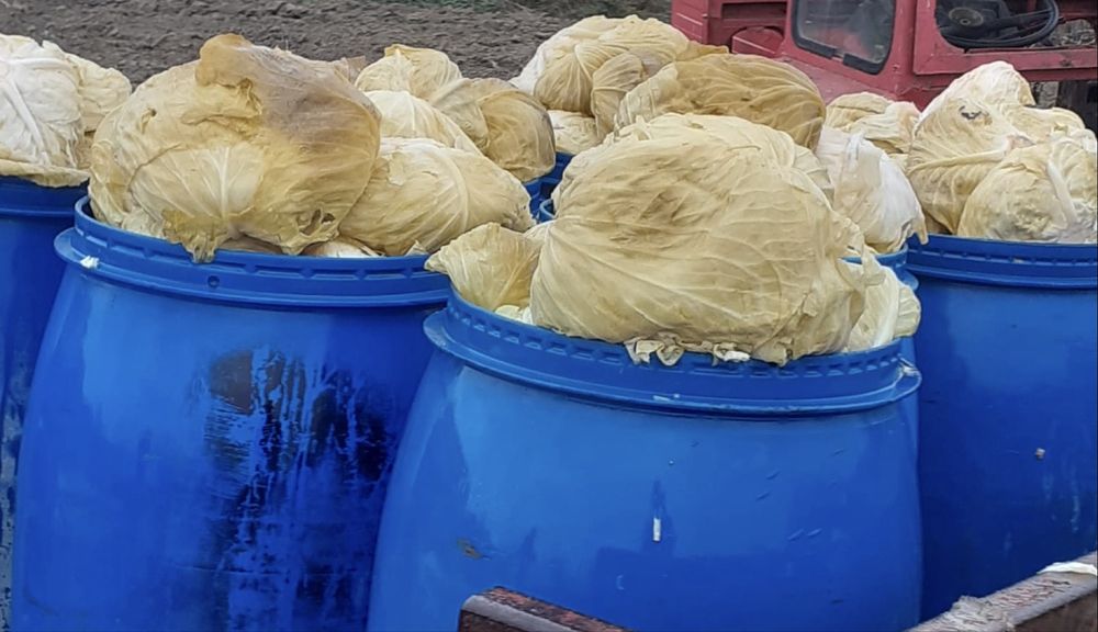 Varză murată de vânzare