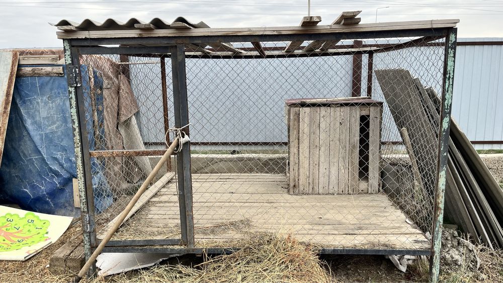 Волера жаксы күйде