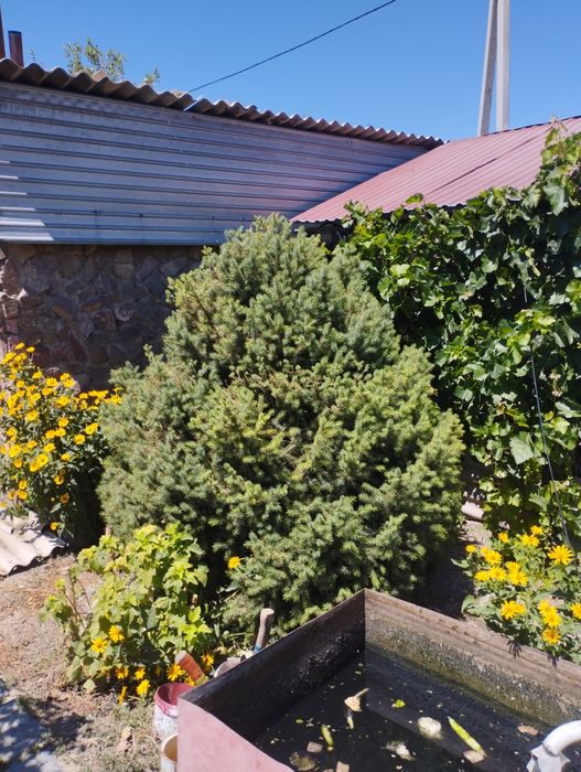 Продам 2х этажный дом