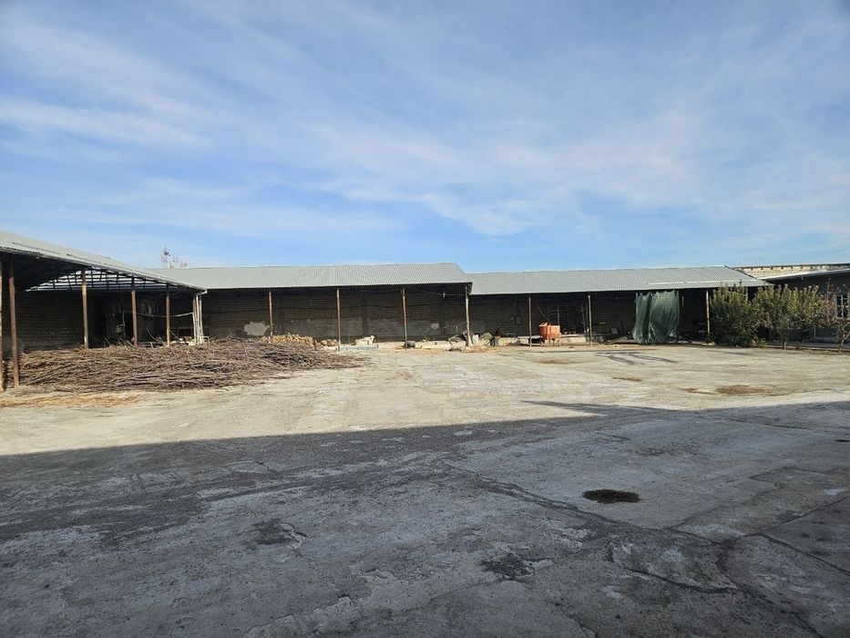 Продается нежилое помещение под любой бизнес Кибрай 77-сотки