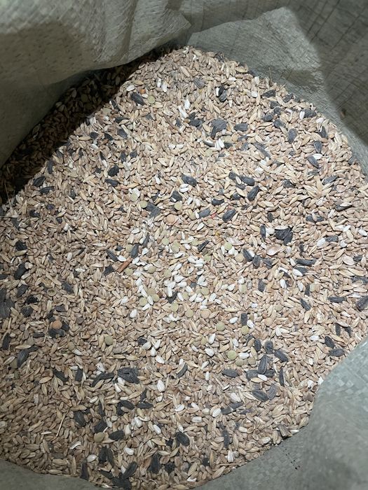 Продажа пшеницы .