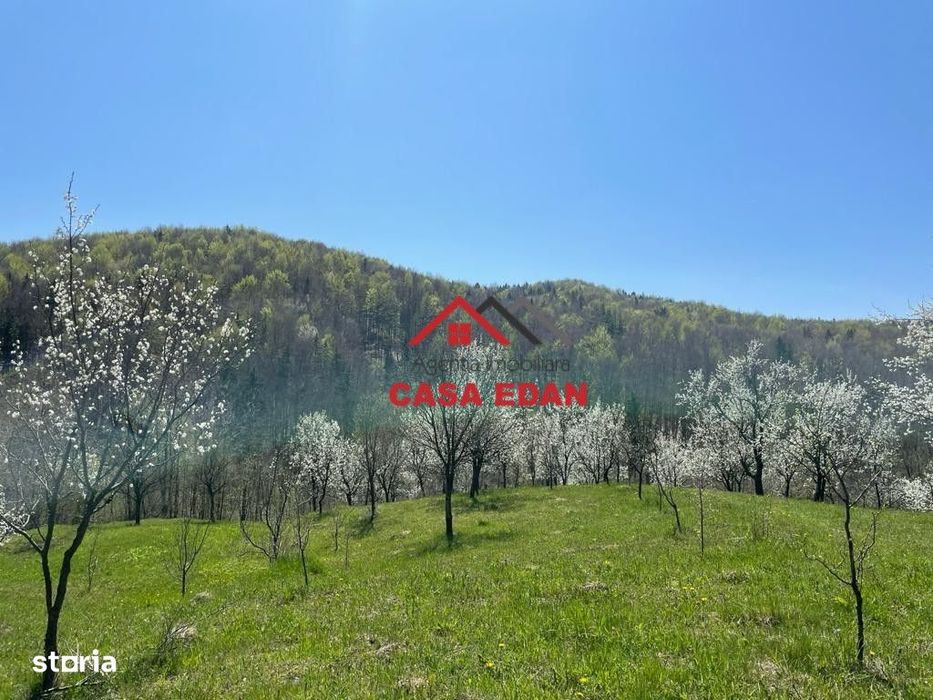 Teren extravilan in Brebu(Pietriceaua)--9104mp--50.000e