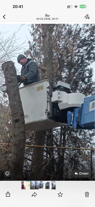 Распил Дров (Выезд на место)