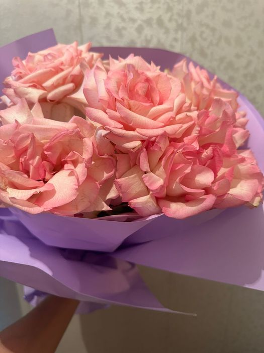 Продам цветы свежие