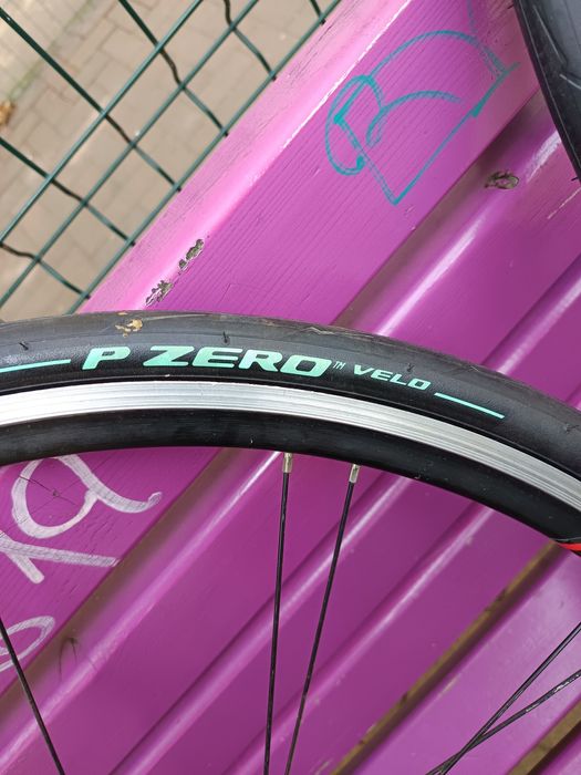 Roti cursiera bontrager ss