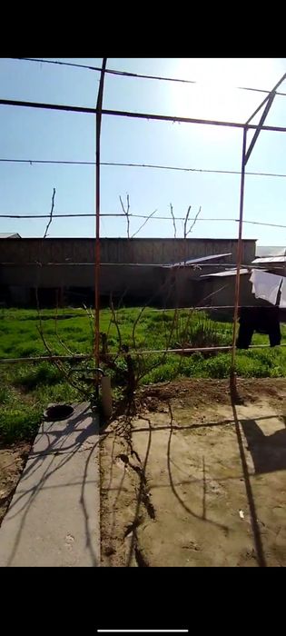 Yer narxda uy arzon srochni