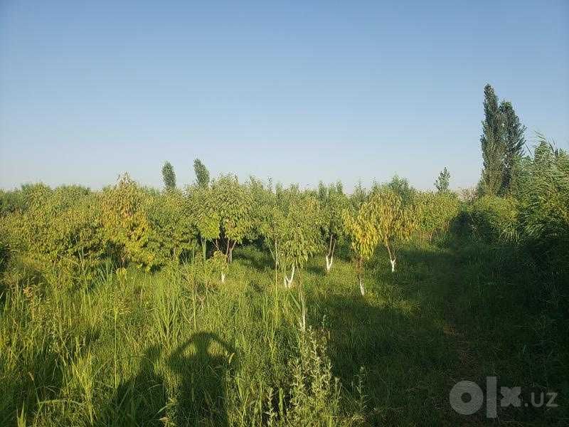 Intensiv, yopiq suv aylanma tizimli baliq yetishtirish bino-inshooti
