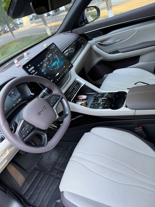 Byd champion smart