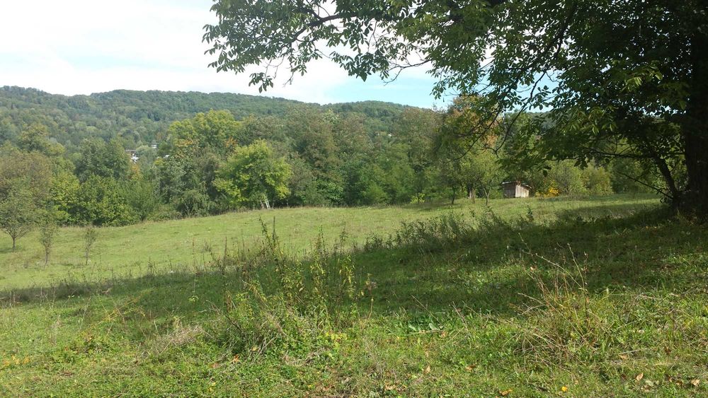 Teren intravilan Provita de jos(linga Breaza) PRAHOVA