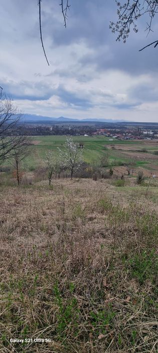 Vând  774 mp teren pt  cabana Valea Rosiei-Remetea,  pret  total 550 e