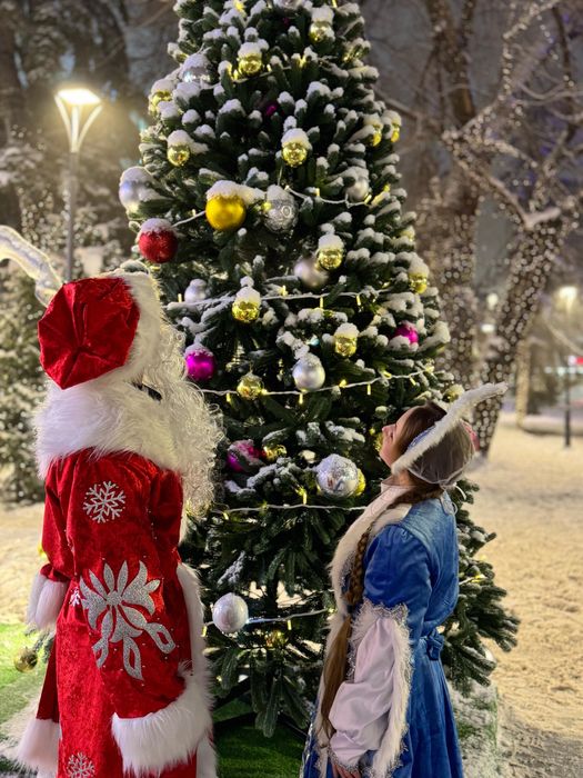 Дед мороз и снегурочка на дом