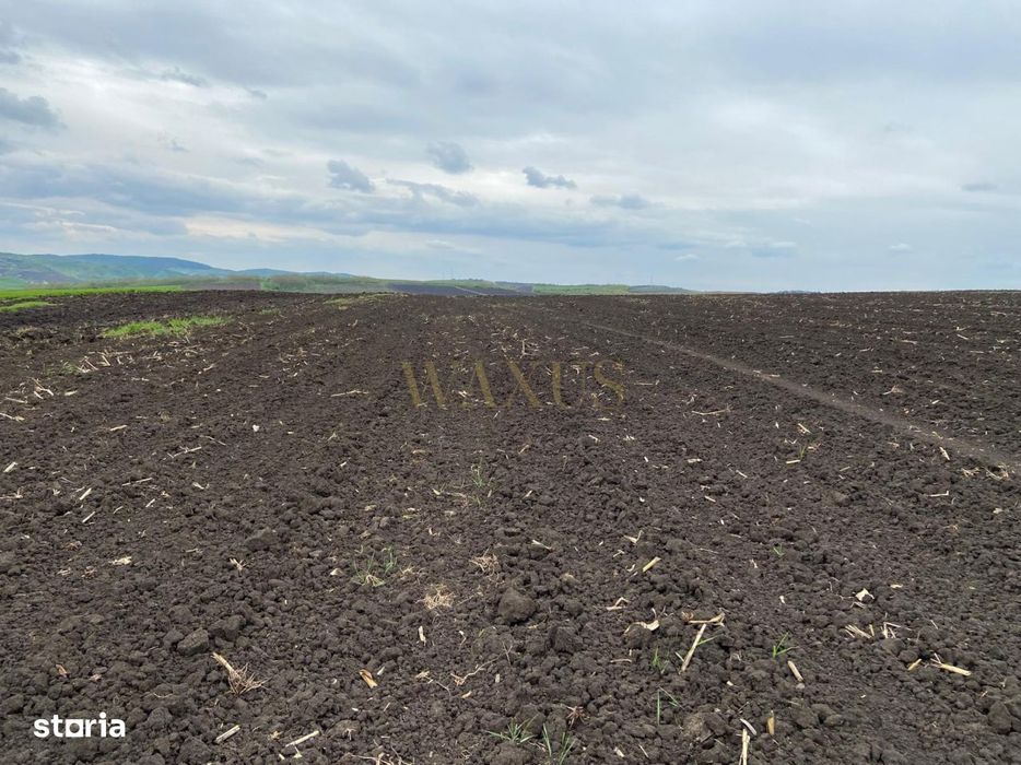 Teren extravilan, 10.200mp, judetul BN