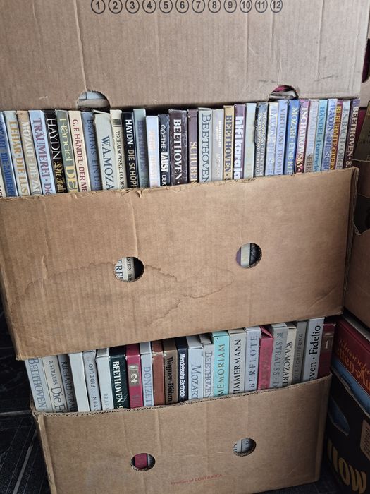 Vând Lot Discuri Vinil colectie 100 in stare buna cu muzica clasică