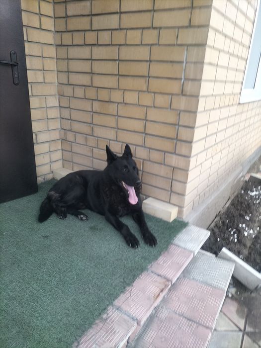 Вязка мальчик 4 года