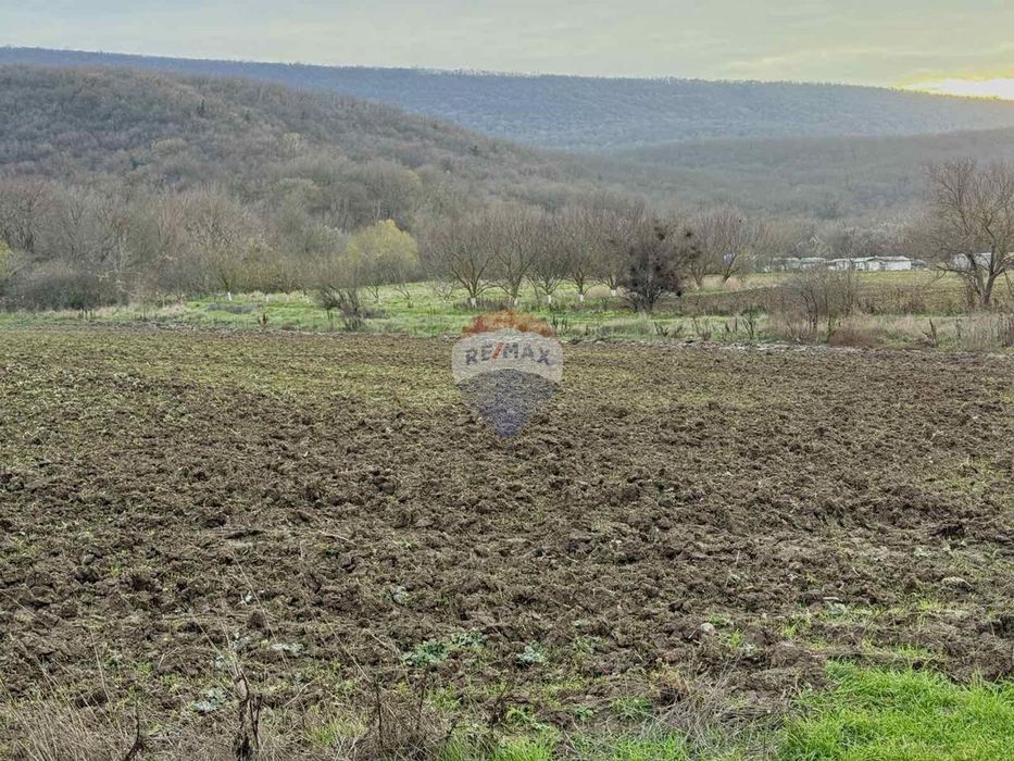 Продава се Парцел в с. Църква, Област Добрич - 8305 кв.м за 13 €/кв.м - Снимка #7