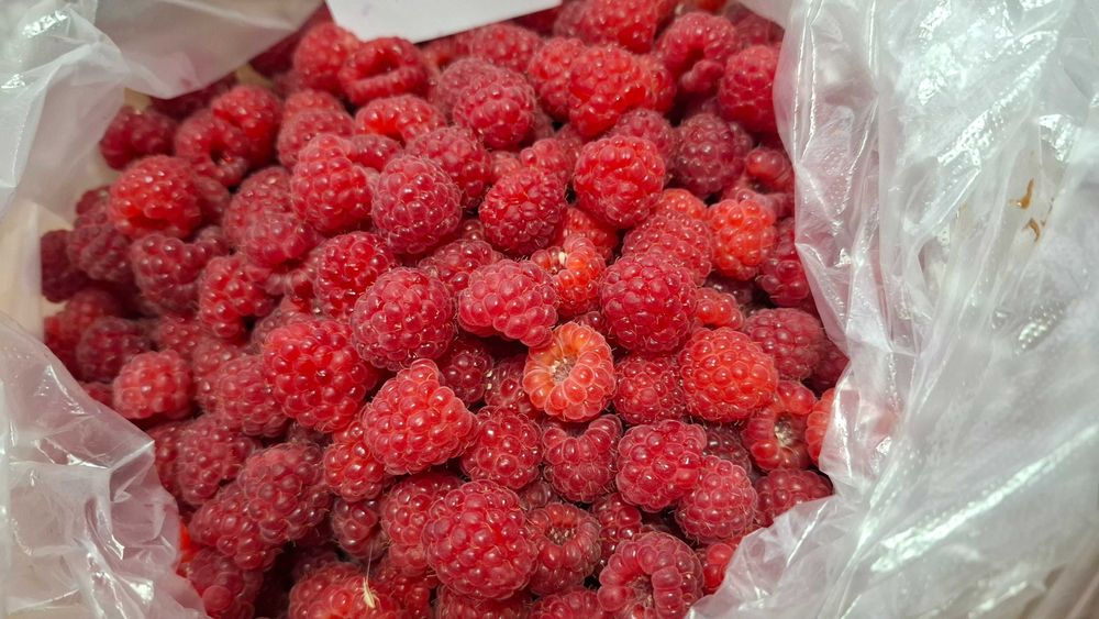 Продам саженцы малины