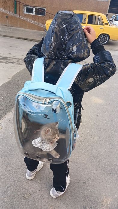 Сумка Сотилади мушуклар учун