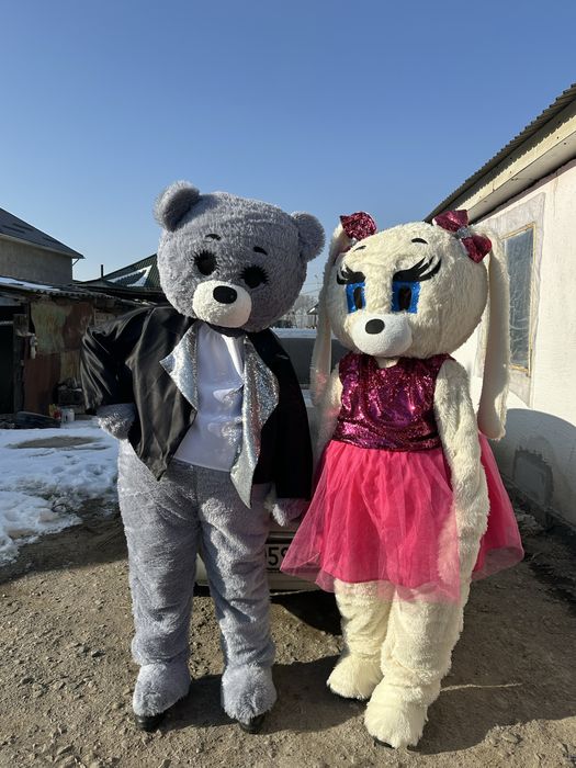 Мишки на прокат