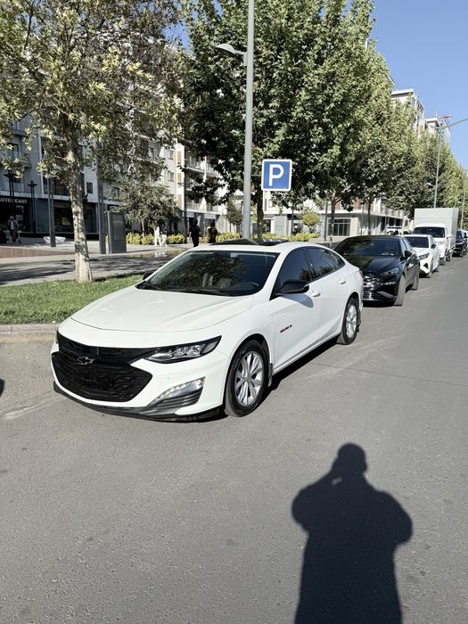 Malibu XL 2023 Tozza