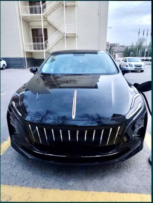 Hongqie E-QM5 500km pod zakaz