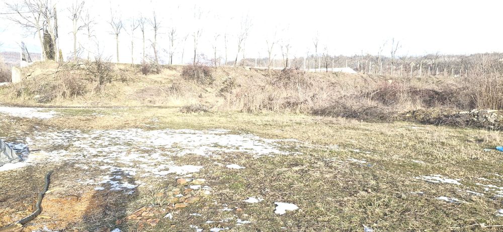 Teren intravilan Poiana Camina 1300 mp