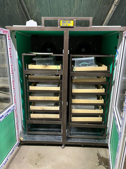 Инкубатор для перепелки