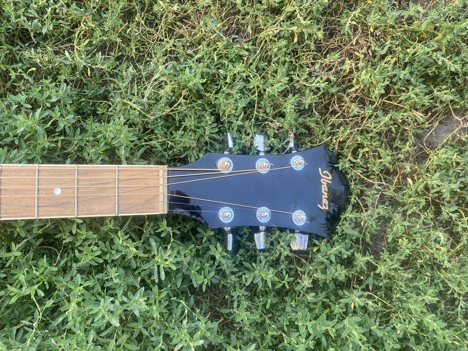 Ibanez SGT120E.