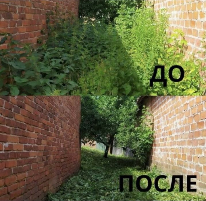 Уборка территории любой сложности