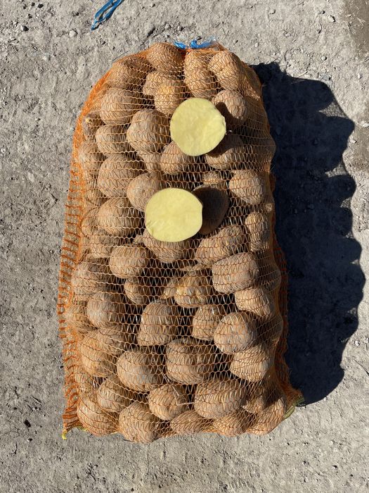 Cartofi consum Alb (0,7 lei) Vineta