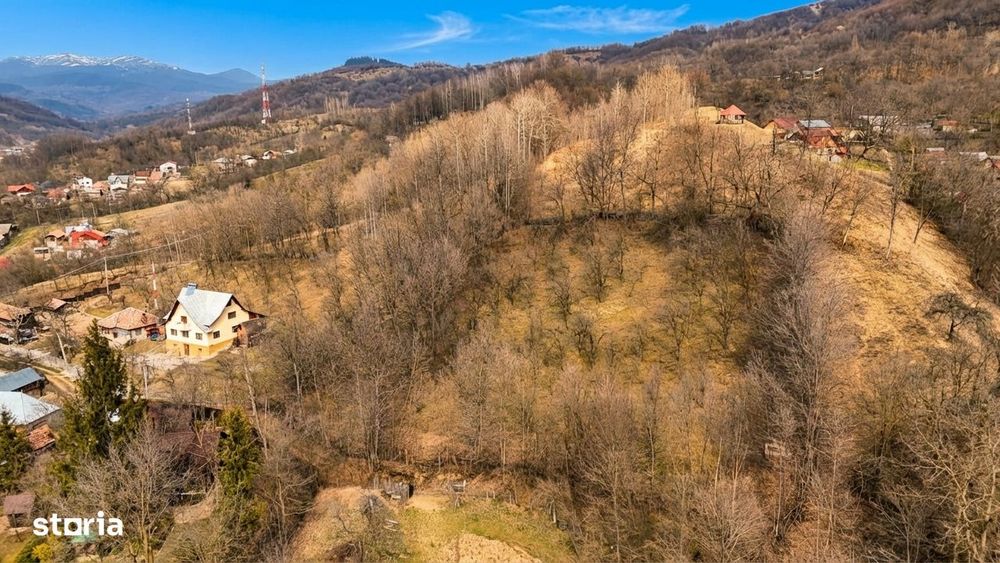 Oportunitate investitie teren  – Cerasu, Prahova | 3.485 mp | View s