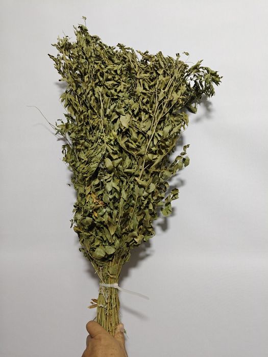 Веник для бани из солодки