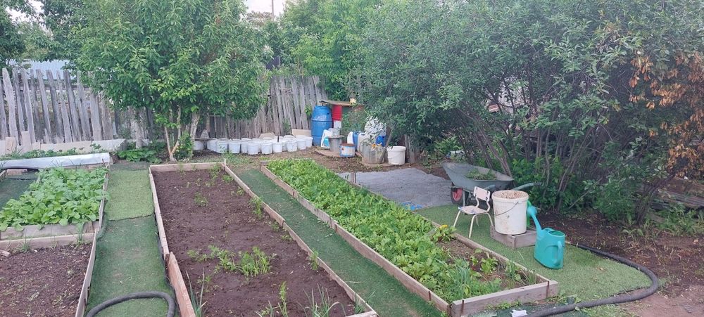 Дача на федоровке