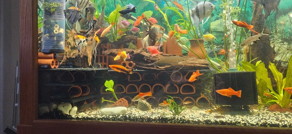 Аквариум 612л + филтри