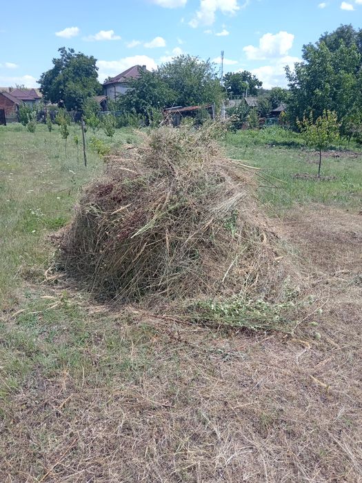 Donez fân, nutreț pentru animale