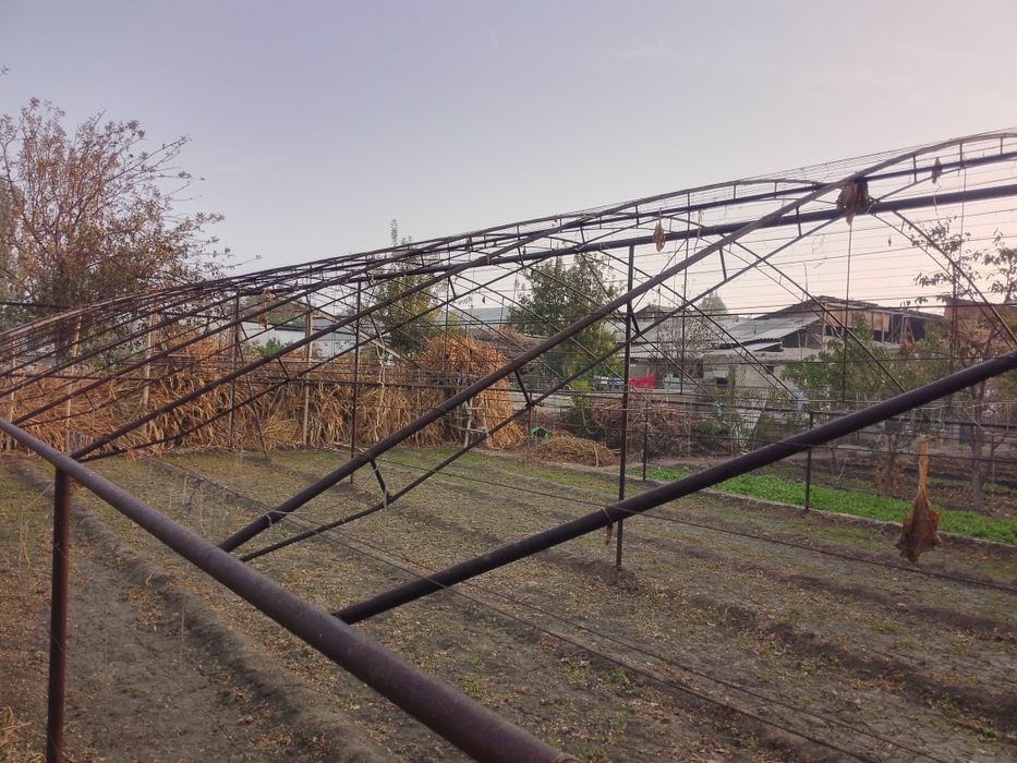 Baquvvat Qilib Ishlangan Teplitsa Sotiladi