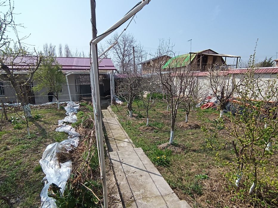 Dacha sotiladi parkentda