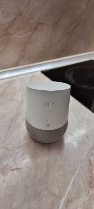 gogle home speaker