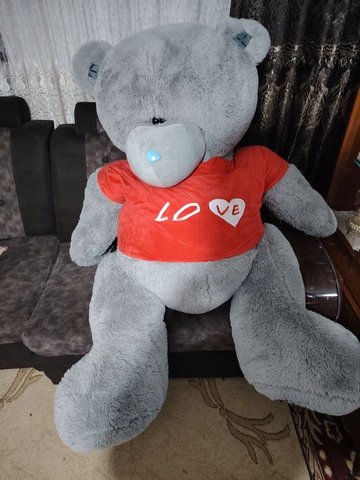 Juda katta ayiq sifatiga garantiya