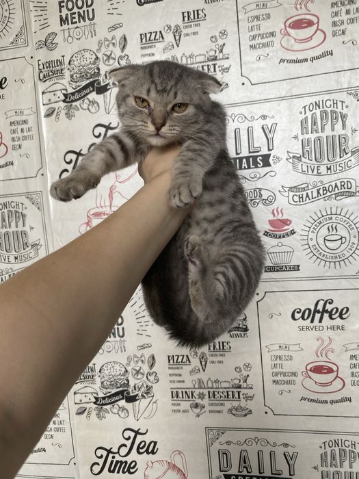 Обмен на детский гарнитур